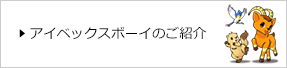 アイベックスボーイのご紹介